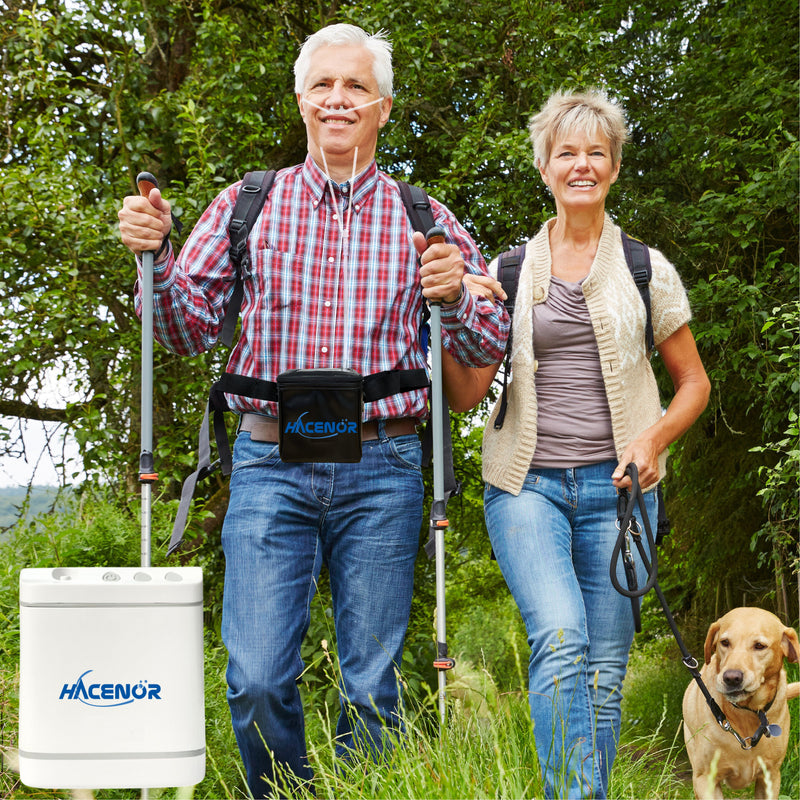 HACENOR Lightweight Small Portable 2 Hours Internal Battery 1-2L Oxygen Concentrator Pulse&Continuous Flow FYY-03