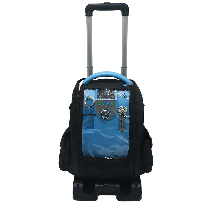 HACENOR Used Portable 2 Hours Battery 5L Continuous Flow Oxygen Concentrator For Travel Use - POC-05